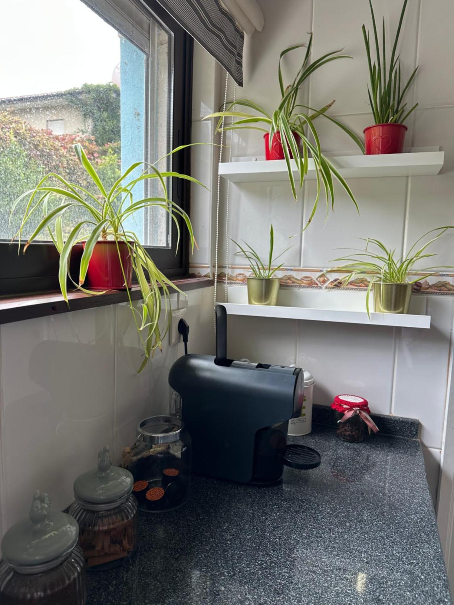 Dom Ruas Apartment Peso da Regua Ngoại thất bức ảnh