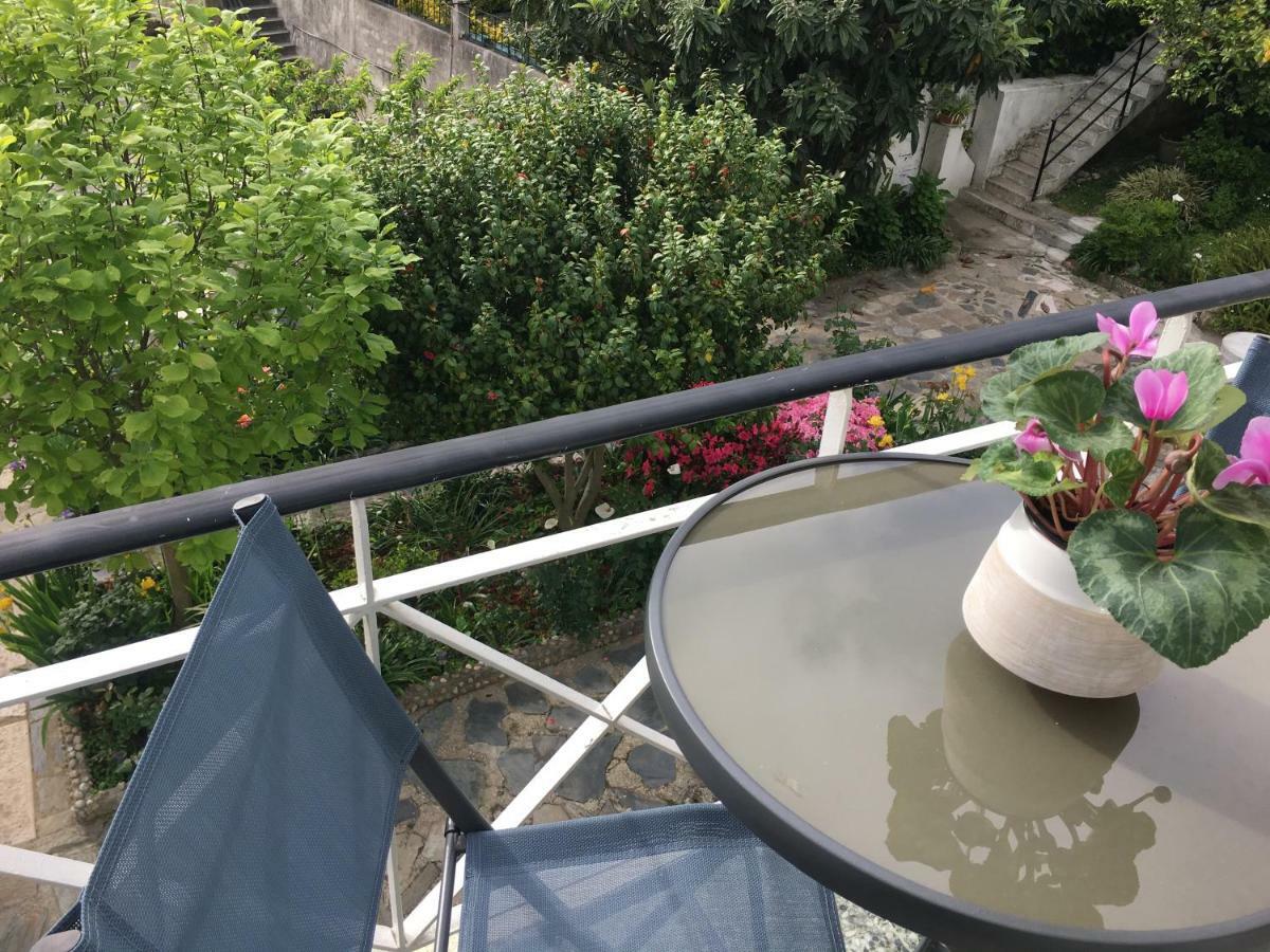 Dom Ruas Apartment Peso da Regua Ngoại thất bức ảnh